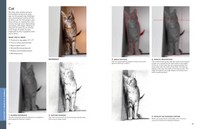 Gallery preview