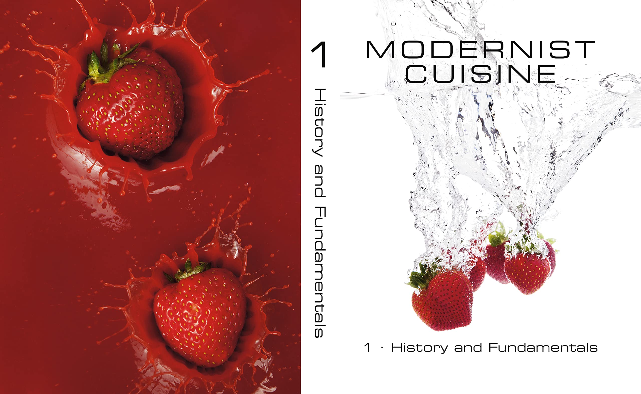 Modernist Cuisine by Nathan Myhrvold | The Art and Science of