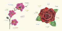 Gallery preview