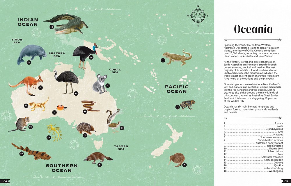Wildlife Compendium of the World by Tania McCartney | Awe-inspiring ...