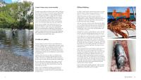 Gallery preview