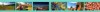 Gallery preview