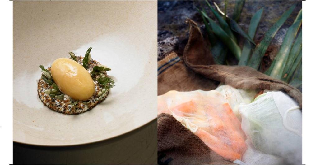 Origin by Ben Shewry | The Food of Ben Shewry | 9781741969870