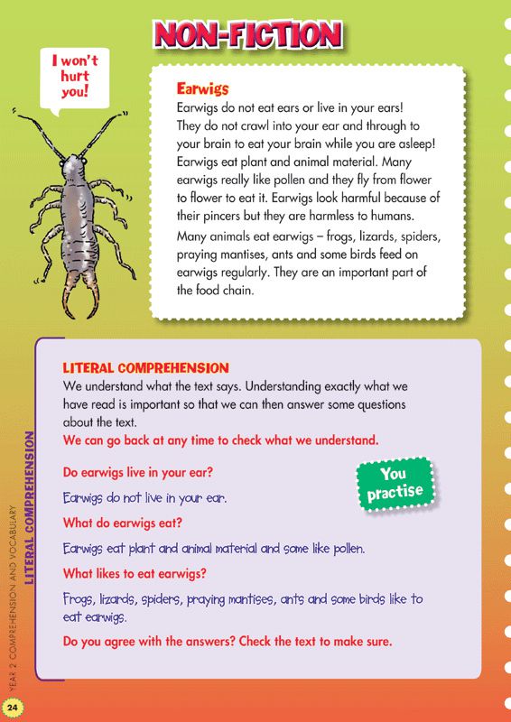 comprehension and vocabulary year 2 back to basics by victoria