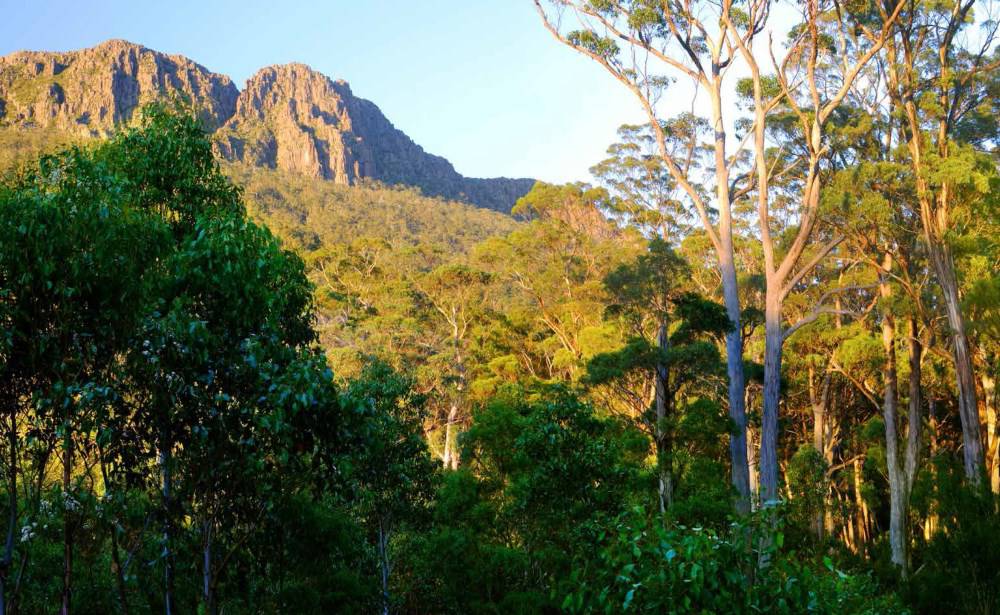 Bush Heritage Australia, Restoring Nature Step by Step by Sarah Martin
