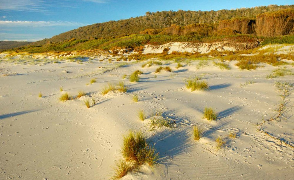 Bush Heritage Australia, Restoring Nature Step by Step by Sarah Martin