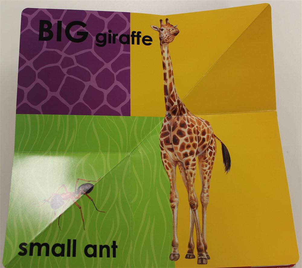 Big and Small Animals, A FoldOut Book by Garry Fleming 9781742486307