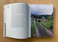 Gallery preview