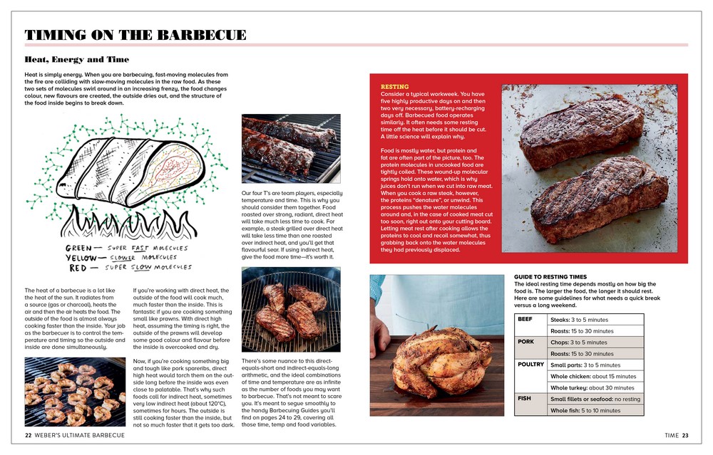 er's Ultimate Barbecue, Over 100 AllNew Receipes; 200 Expert Tips