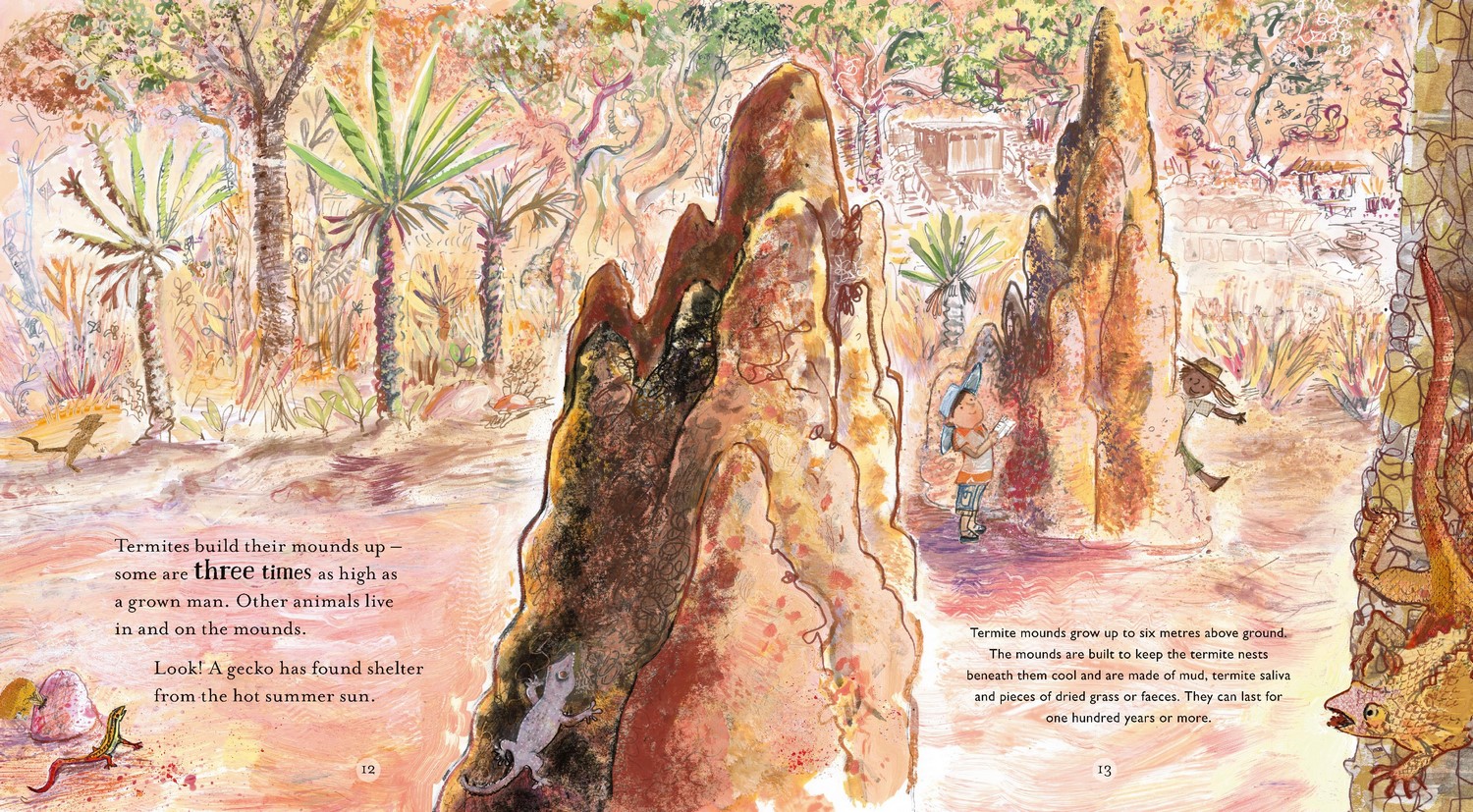 Dry to Dry, The Seasons of Kakadu by Pamela Freeman 9781760656232 Booktopia