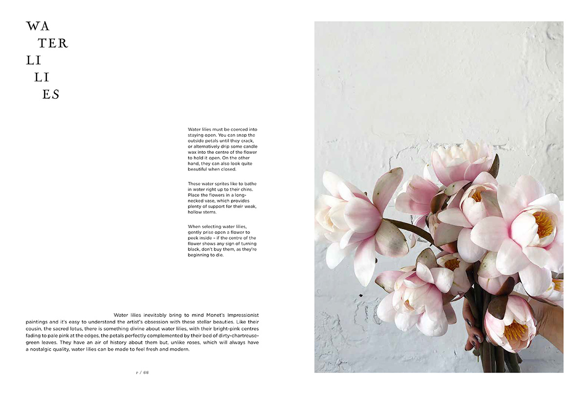 The Flower Expert, Ideas and inspiration for a life with flowers by