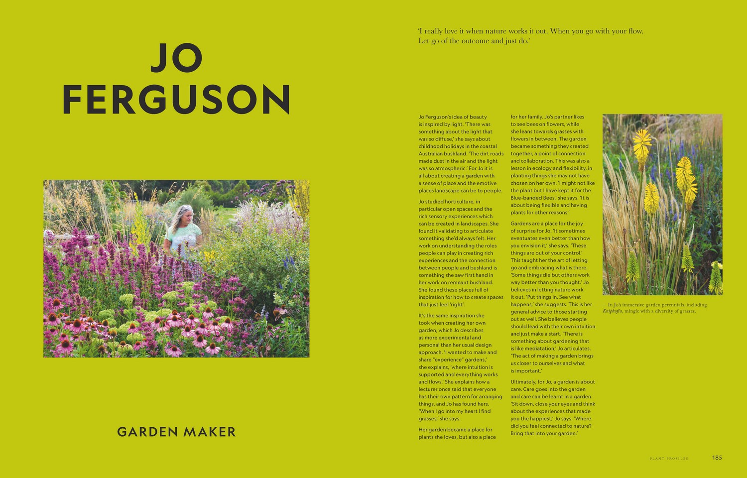 Super Bloom by Jac Semmler A field guide to flowers for every