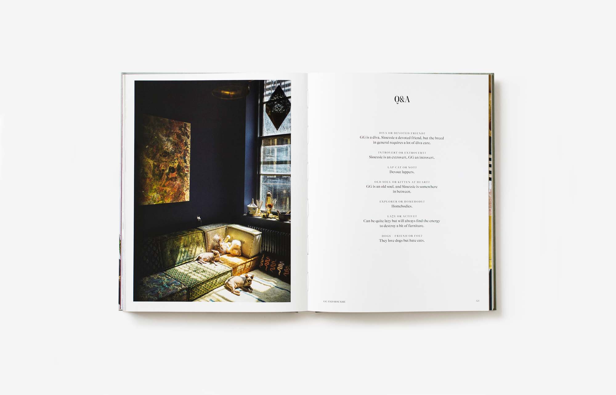 House Cat by Paul Barbera | Inspirational Interiors and the Elegant ...