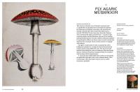 Gallery preview