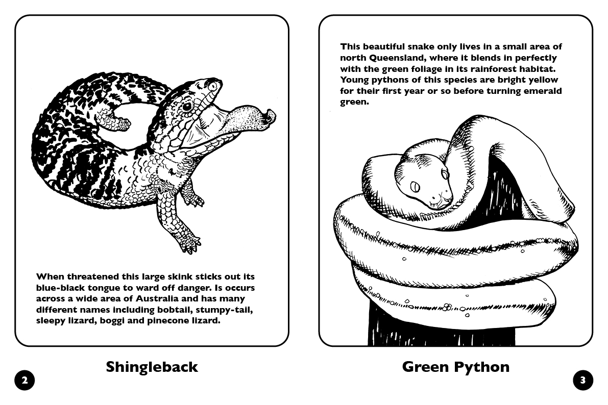 Australian Reptiles Colour and Learn by New Holland | Includes stickers ...