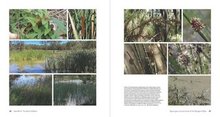 Gallery preview