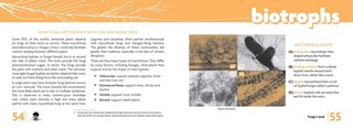 Gallery preview