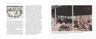 Gallery preview