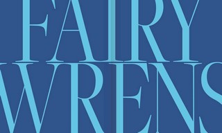 Gallery preview