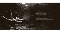 Gallery preview