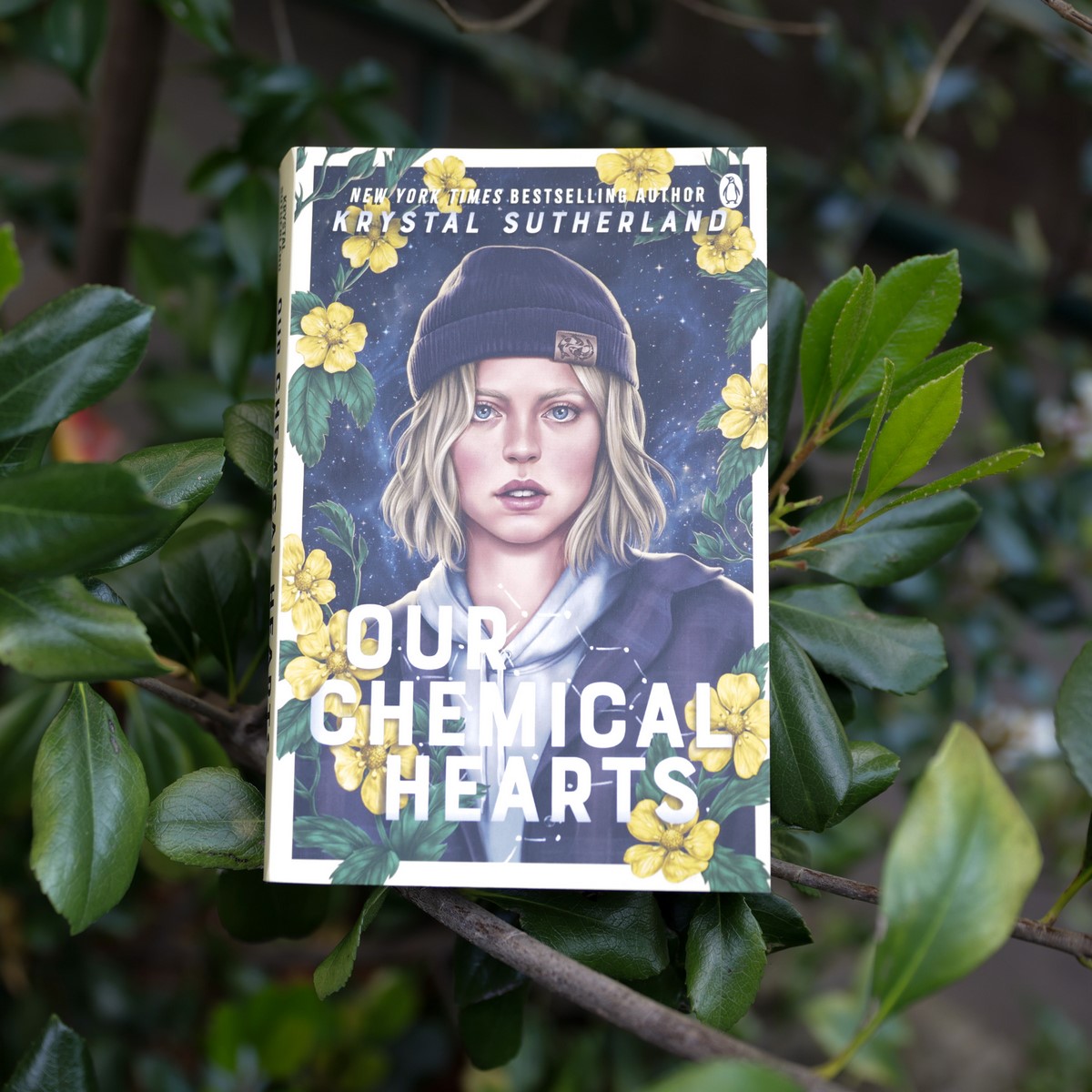 Our Chemical Hearts by Krystal Sutherland 9781761048760 Booktopia