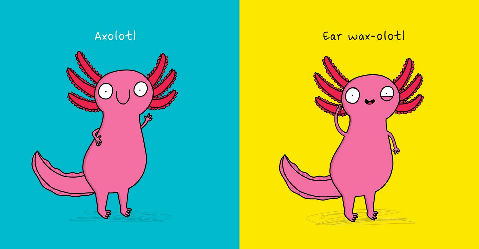 NoOne Really Knows an Axolotl by Laura Sieveking 9781761124679 Booktopia