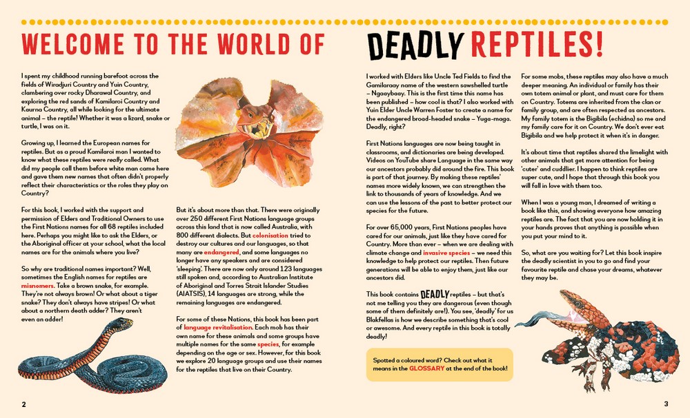 Gallery preview