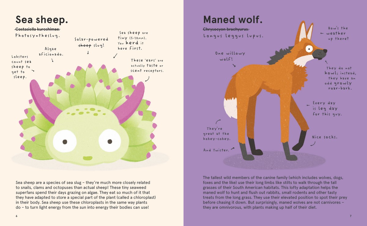 The World's Most Ridiculous Animals, CBCA Notable Book by Philip