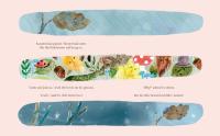 Gallery preview