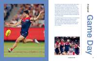 Gallery preview