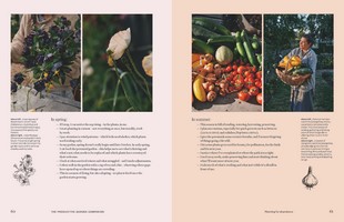 Gallery preview