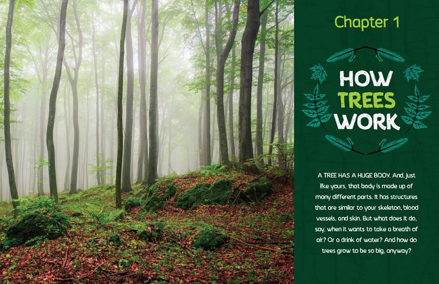 Can You Hear the Trees Talking?, Discovering the Hidden Life of the