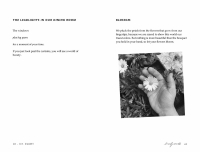 Gallery preview