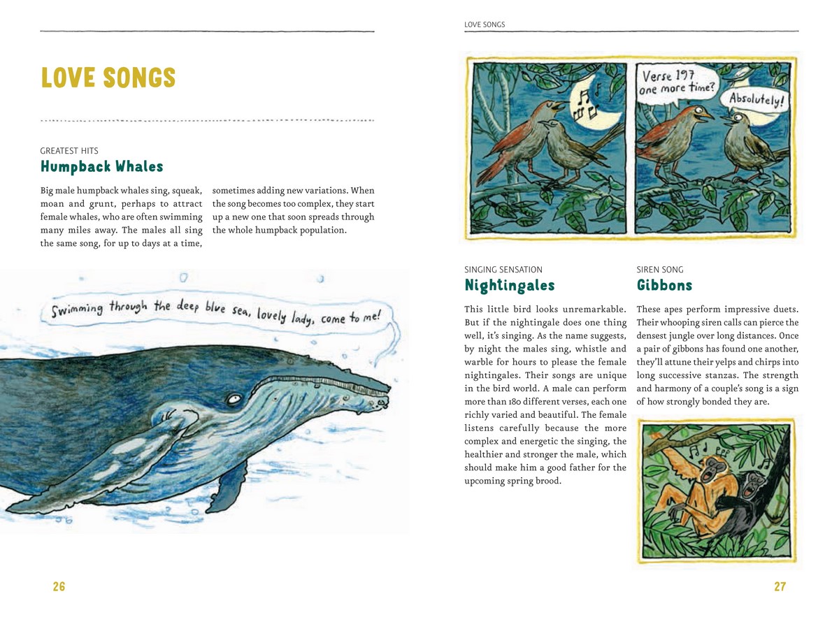 Do Animals Fall in Love? by Katharina Von Der Gathen 9781776572915