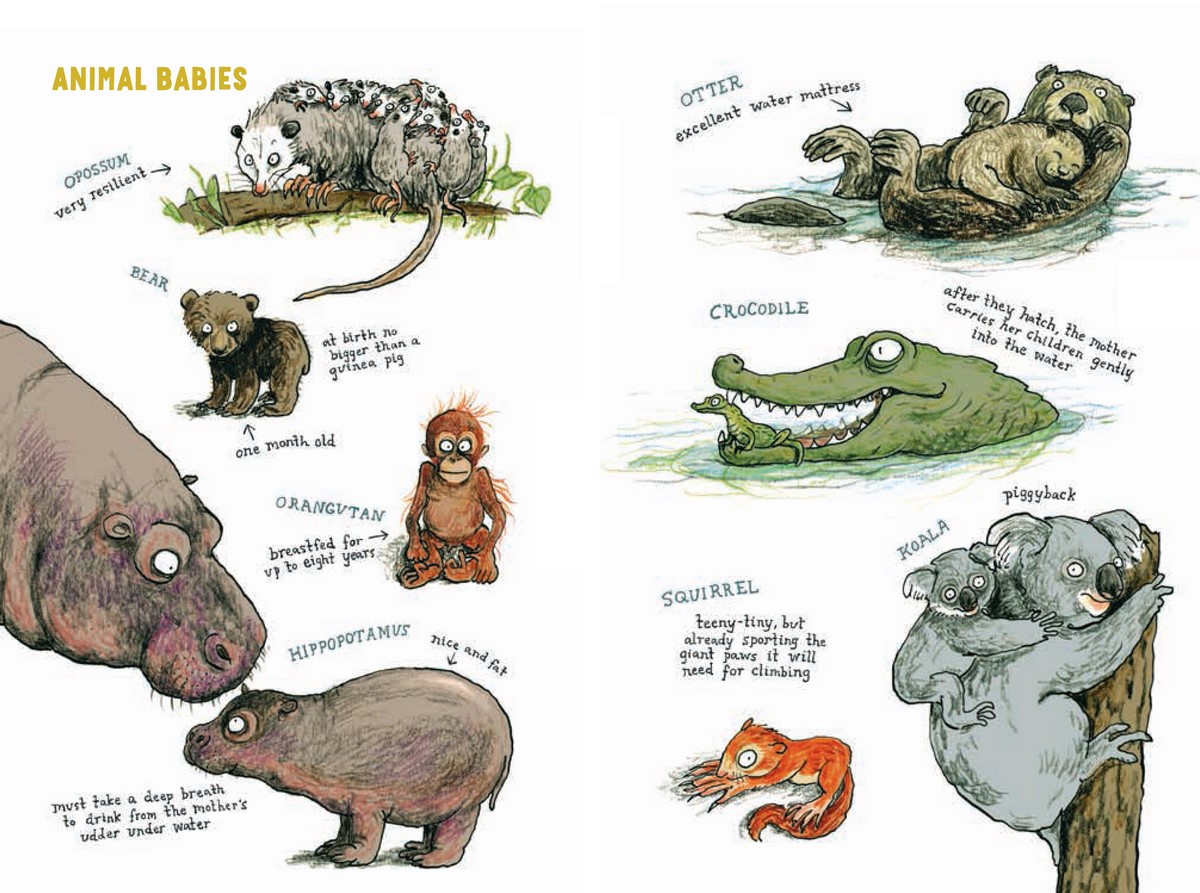 Do Animals Fall in Love? by Katharina Von Der Gathen 9781776572915