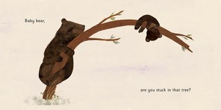 Gallery preview