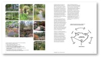 Gallery preview