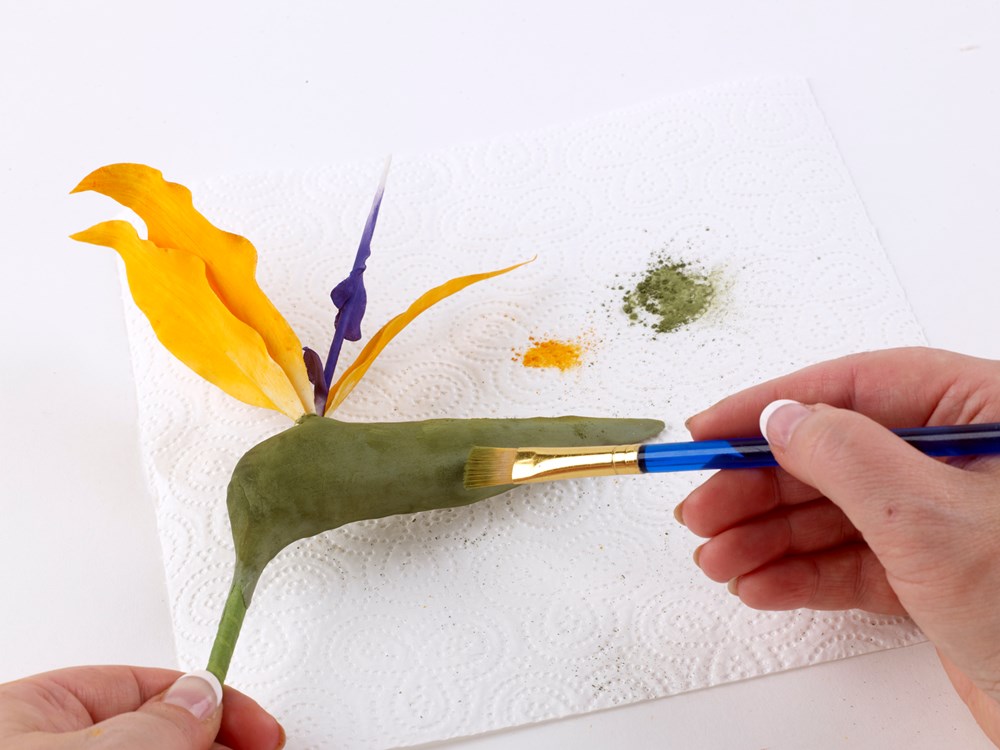 The Kew Book of Sugar Flowers, How to Make Beautiful Floral Cake