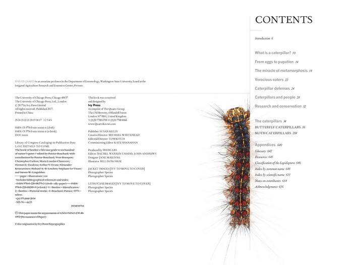 The Book of Caterpillars by David G. James | A life-size guide to