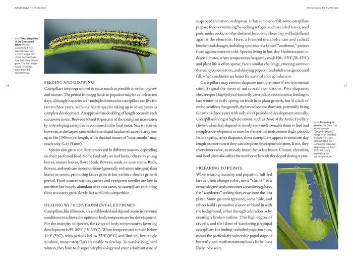 The Book of Caterpillars by David G. James | A life-size guide to