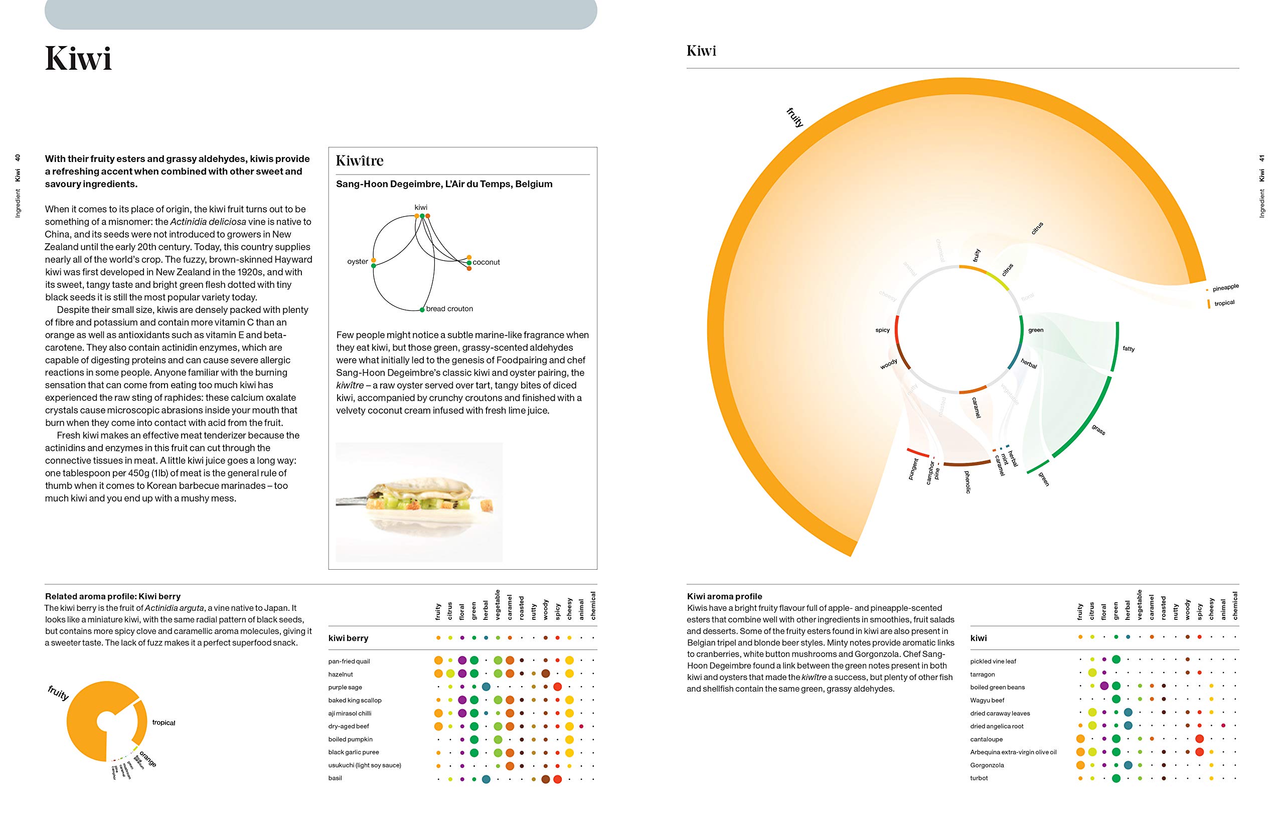 The Art & Science of Foodpairing, 10,000 flavour matches that will