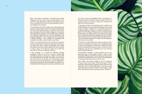 Gallery preview