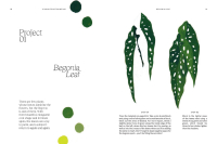 Gallery preview