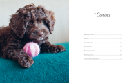 Gallery preview