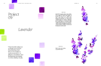 Gallery preview