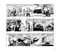 Gallery preview