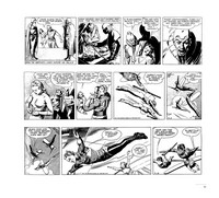 Gallery preview