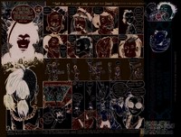 Gallery preview