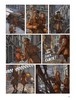 Gallery preview
