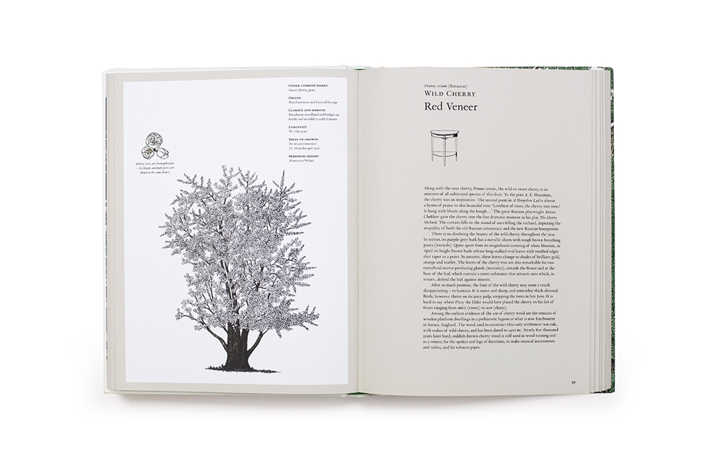 The Story of Trees, And How They Changed the Way We Live by Kevin Hobbs ...